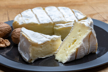 French soft Camembert cheese, original Camembert de Normandie