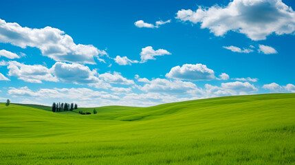 Fototapeta premium Green grassland with idyllic blue sky background