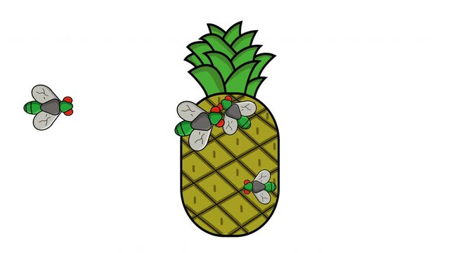 Animation of a pineapple being surrounded by flies