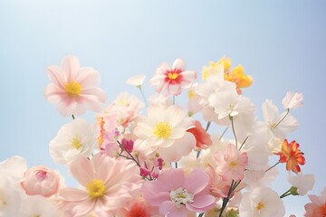Fototapeta premium Studio spring conceptual photo of natural soft pink and multicolored flowers in pastel colors. Minimal pastel blue background.