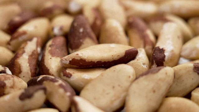 Nutritious dried Brazil nuts. Macro shot. Rotation