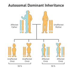 Autosomal Dominant Inheritance Concept Design. Vector illustration.