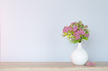 pink spirea in white vase on wooden shelf