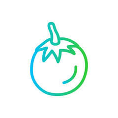 Tomato vegetables icon with blue and green gradient outline style. tomato, vegetable, fresh, food, icon, vector, vegetarian. Vector Illustration