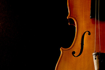violin on black background © Fred