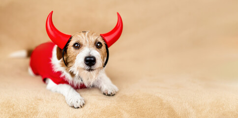 Banner of a funny pet dog as wearing spooky halloween party red devil costume
