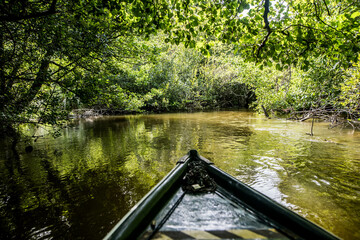 Visit the Courant d'Huchet by boat in Moliets in the south west of France