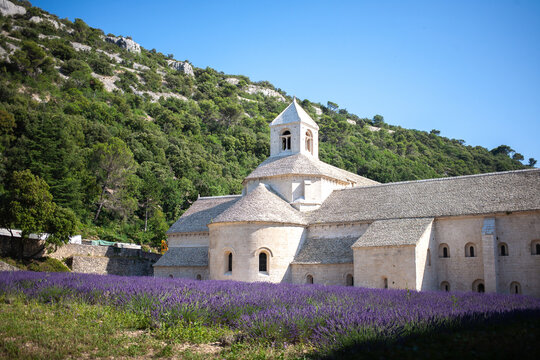 Abbaye Notre-Dame de S&eacute;nanque. 12th-century Cistercian monastery with summer lavender fields