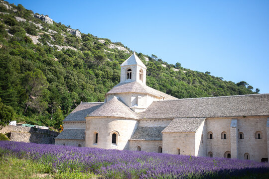 Abbaye Notre-Dame de S&eacute;nanque. 12th-century Cistercian monastery with summer lavender fields