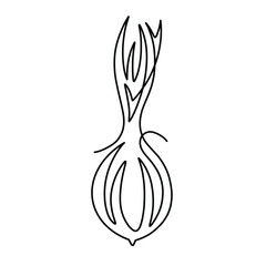 Vector continuous one line onion illustration