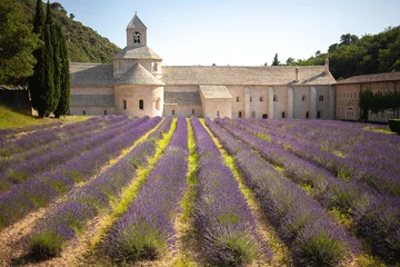 Fotobehang Abbaye Notre-Dame de Sénanque. 12th-century Cistercian monastery with summer lavender fields © Gulnara