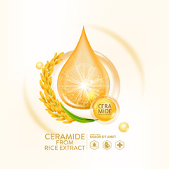 ceramide from rice extract serum Skin Care Cosmetic