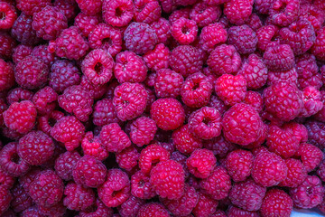 close up of ripe raspberries