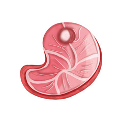 Red beef healthy food illustration 