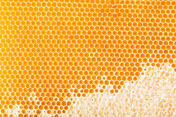 Unlock the world of apiculture: Explore our top view photo featuring luscious honeycomb and pure honey – embrace the essence of natural food