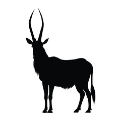 Gemsbok Silhouette on White