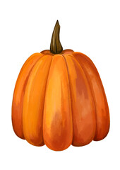 Pumpkin watercolor illustration. Autumn theme. Autumn vegetable. Ripe orange pumpkin. Clip art