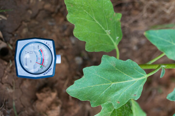 Soil pH meter and soil fertility meter for cultivation.p value It is an indicator of plant nutrient...