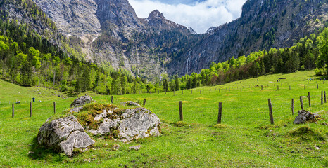 Landschaft und Naturschutzgebiete rund um den Obersee, Nationalpark Berchtesgaden, Bayern, Deutschland - obrazy, fototapety, plakaty