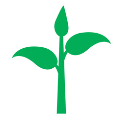 Green plant shoot icon