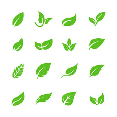 Set of green leaves vector