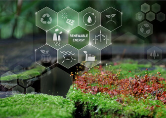 エコロジーアイコン：環境保護、切り株の上に緑の苔（胞子体）クリーンな再生可能エネルギー - obrazy, fototapety, plakaty