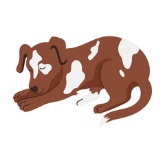 Sleeping Dog Illustration