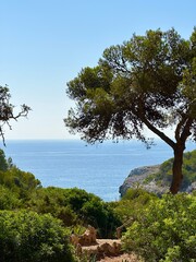 Fototapeta na wymiar Maiorca, Isole Baleari