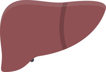 design vector image icons liver