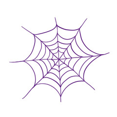 spider and web