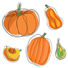 Different types of pumpkins set. Autumn pumpkin line art set.