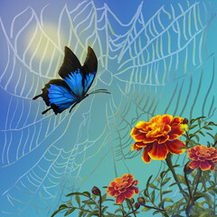 marigold  autumn  butterfly #supportUkraine