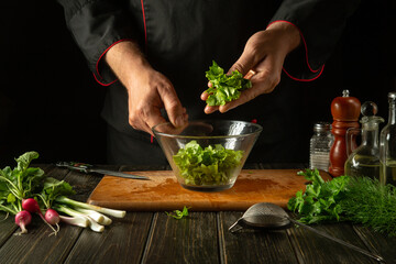 The cook puts parsley on a plate with vegetable salad. Working environment in a restaurant kitchen. Delicious food with fresh vegetables