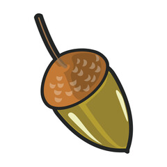 Acorn vector icon.Color vector icon isolated on white background acorn .