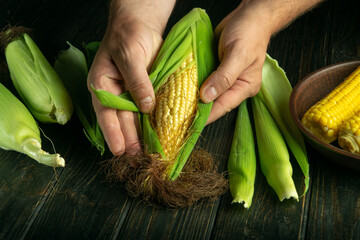 Peeling corn from green husks with hands on the kitchen table. Preparing corn cobs before boiling