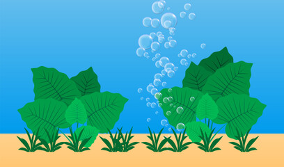 Underwater background. Blue underwater fizzing air bubbles and seaweed - 646052525