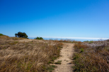 Views of eucalyptus trees and golden rolling hills while hiking in Tuna Canyon in Malibu, California.