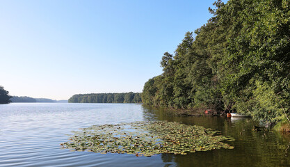 small boats hidden in the undergrowth summer view of mid german lake