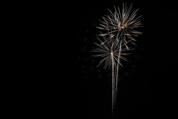Fototapeta premium Fireworks on black sky 