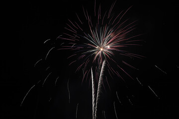 Fireworks on black sky
