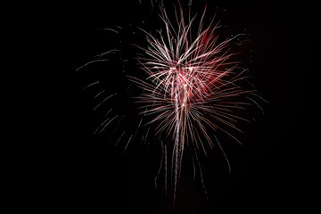 Fototapeta premium Fireworks on black sky 