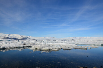 Arctic Tundra in the Summer in Iceland