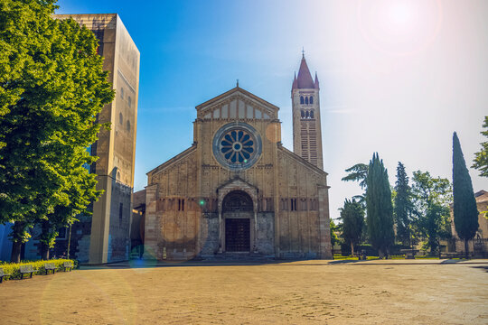 Verona, The Basilica Of San Zeno 