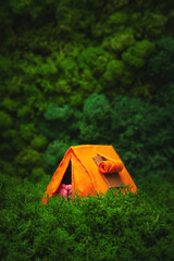 Miniature orange tent on a natural background.