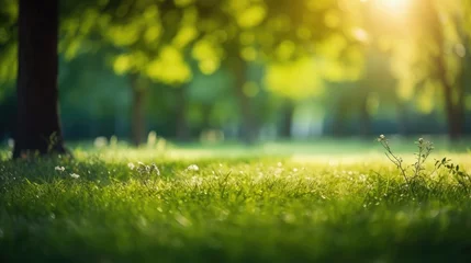 Foto op Plexiglas Summer Beautiful spring perfect natural landscape background, Defocused green trees in forest with wild grass and sun beams, Generative AI © Onchira