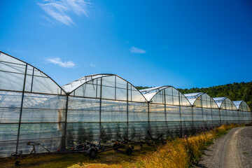 Exterior of a large greenhouse growing cucumbers.