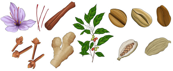 hand drawn Arabian coffee elements 