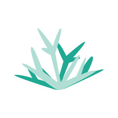 Seaweed illustration in flat style isolated. Marine plants on a white background. Seaweeds. Aquarium plants, underwater planting.