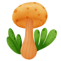 mushroom isolated on white