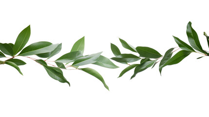 Fototapeta premium green leaves placed vertically, isolated on transparent background, Generative AI